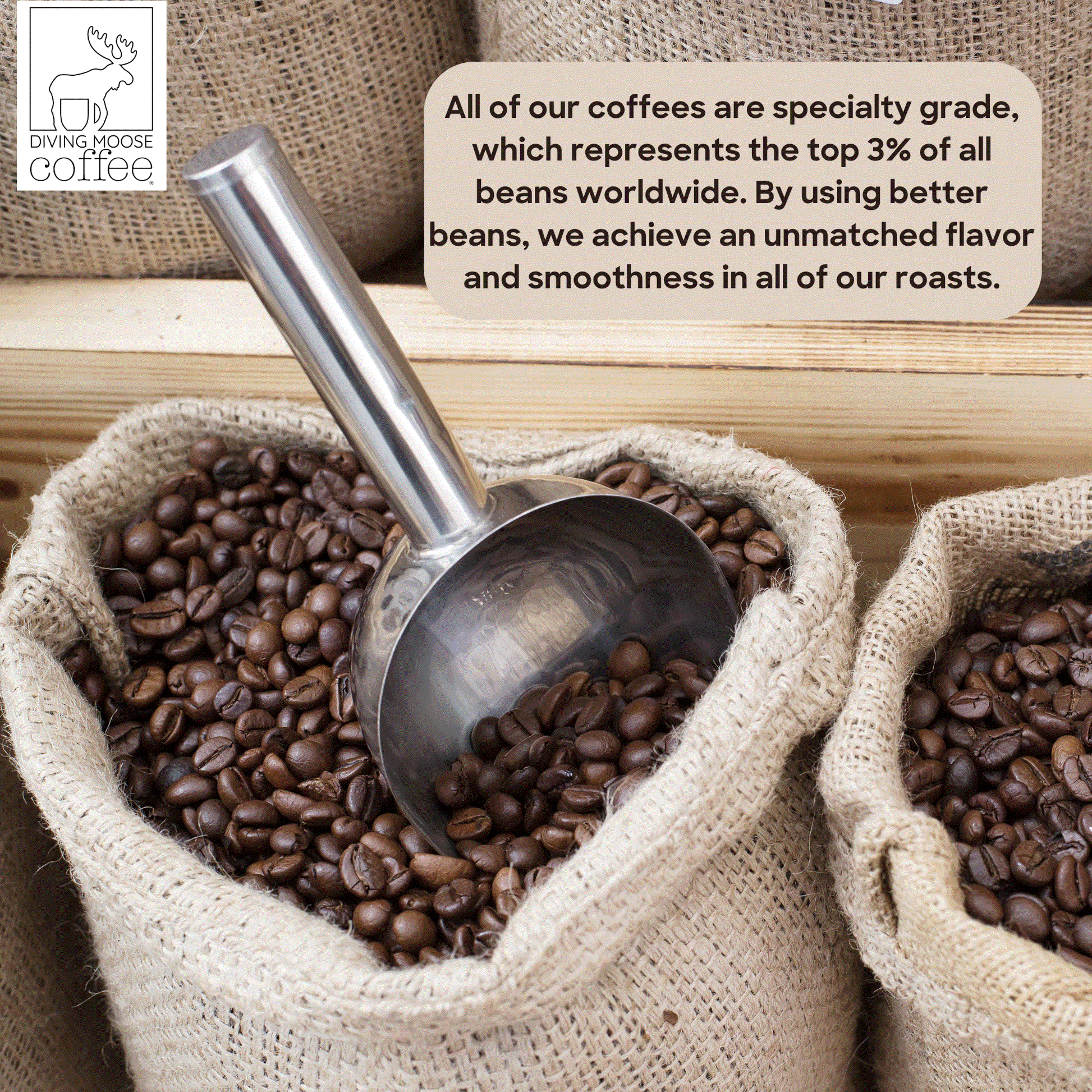 The Kodiak Bear dark roast coffee pods with specialty-grade single origin beans and rich toffee and cocoa notes
